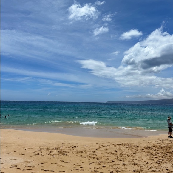 Meet your Posher, Delilah - Picture 2 of 6